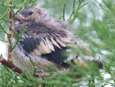 Прикрепленное изображение: b7.jpg